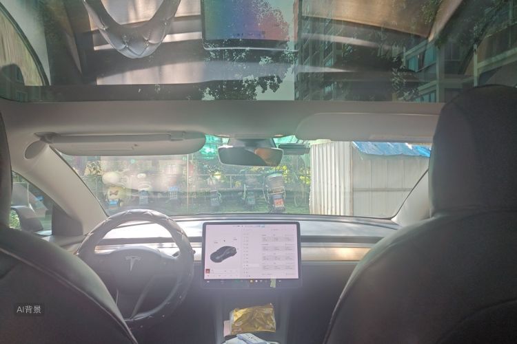 Tesla Model 3 2021 #20 Tesla Model 3 2021 car image #20