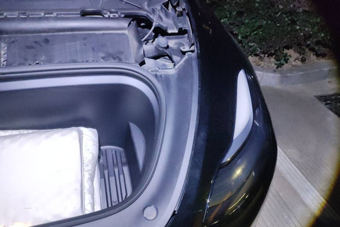 Tesla Model Y 2023 #12 Tesla Model Y 2023 car image #12
