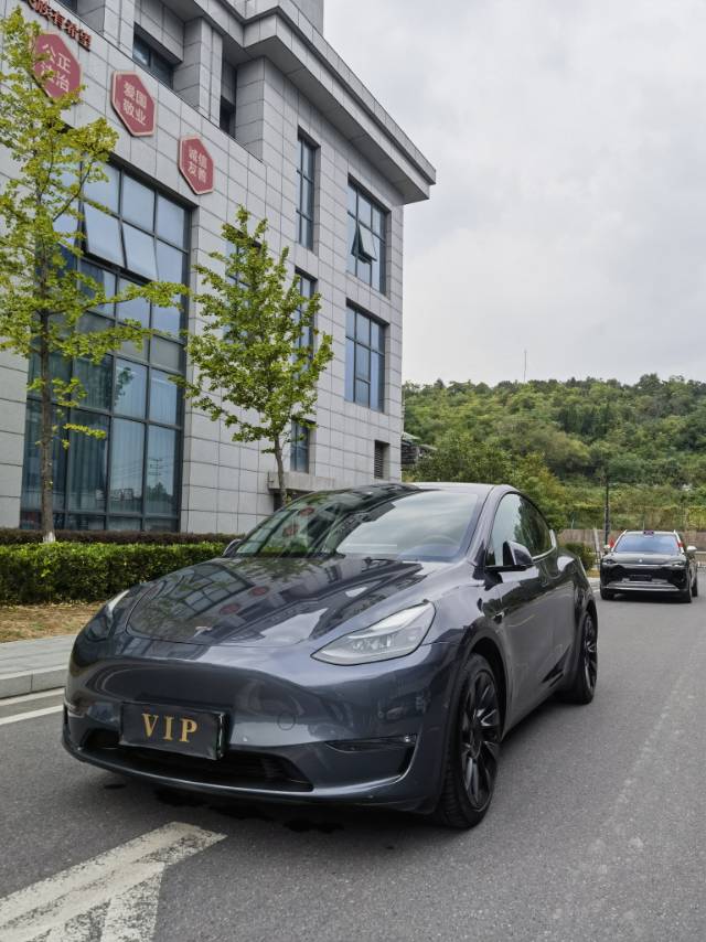 Tesla Model Y 2021 Tesla Model Y 2021 immagine di auto