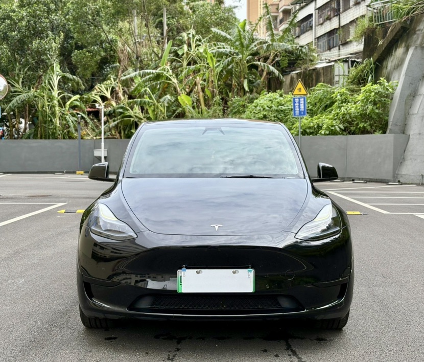Tesla Model Y 2022 car image #2