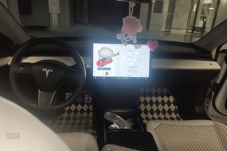 Tesla Model 3 2021 immagine di auto #11