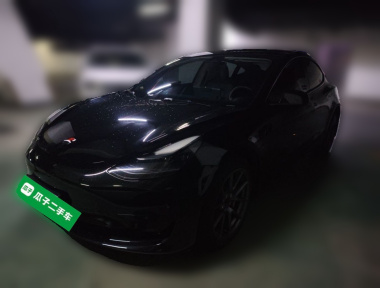 Tesla Model 3 2022 Tesla Model 3 2022 car image