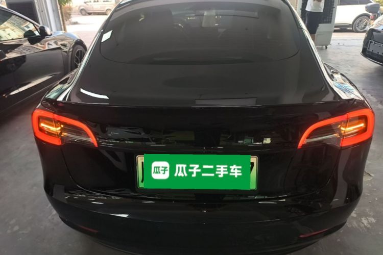 Tesla Model 3 2022 car image #6
