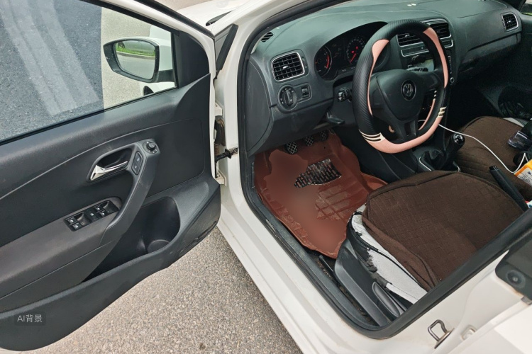 Volkswagen Polo 2016 car image #18