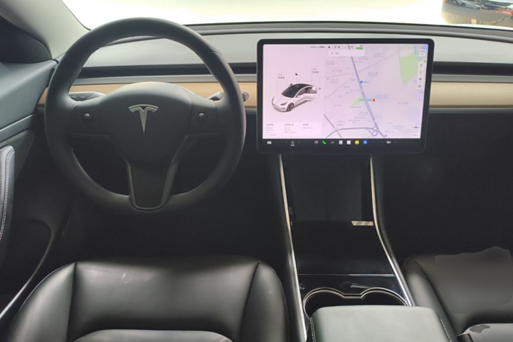 Tesla Model 3 2020 immagine di auto #11
