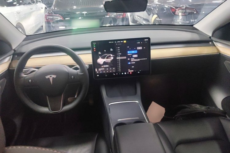 Tesla Model Y 2022 car image #10
