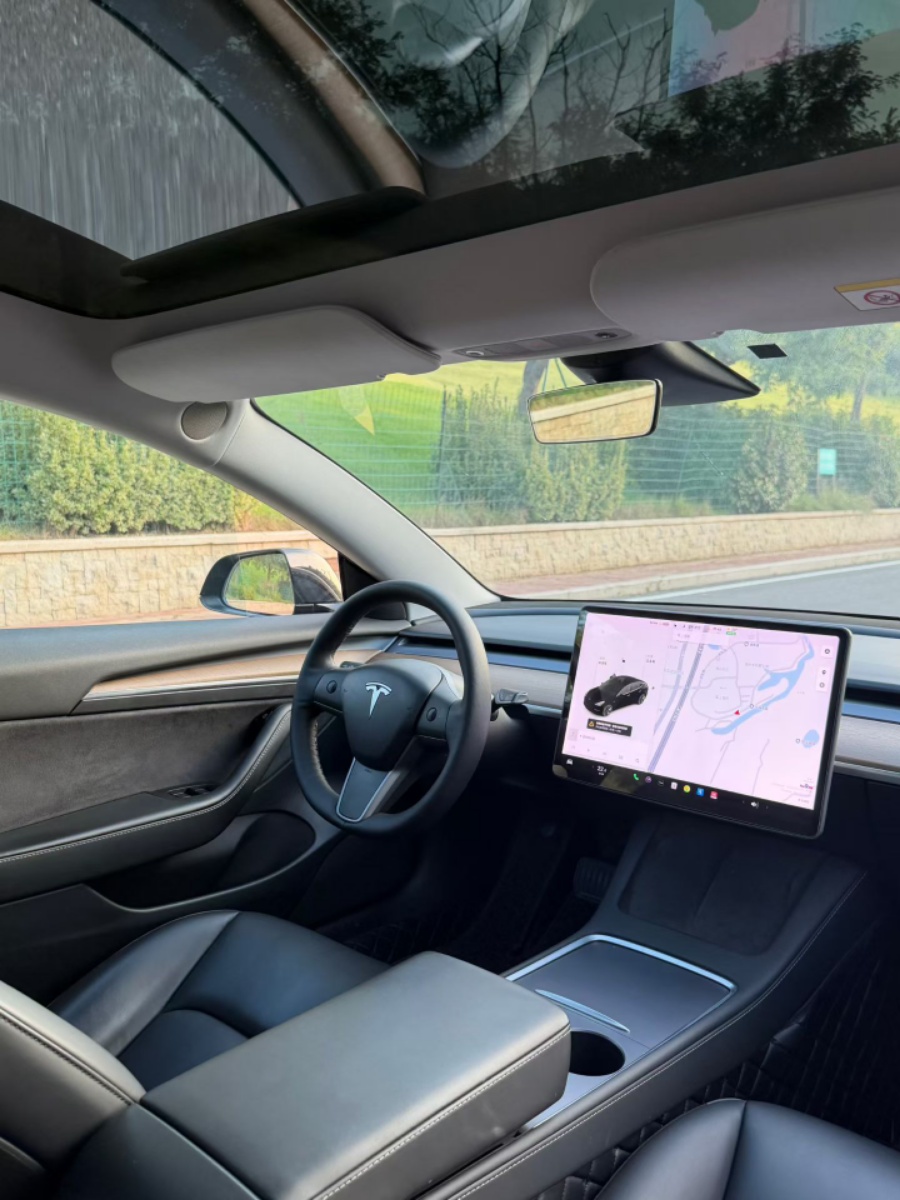 Tesla Model 3 2021 car image #6