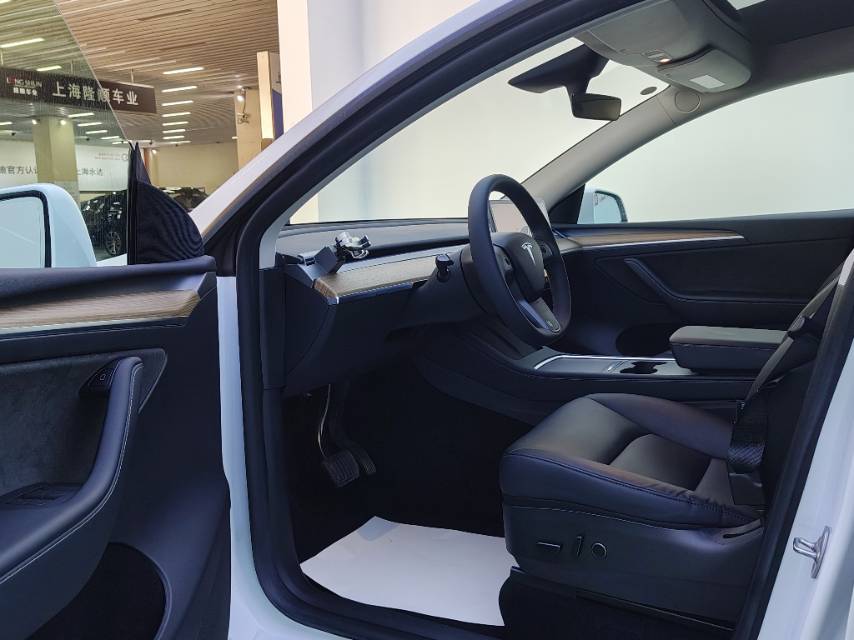 Tesla Model Y 2022 car image #14