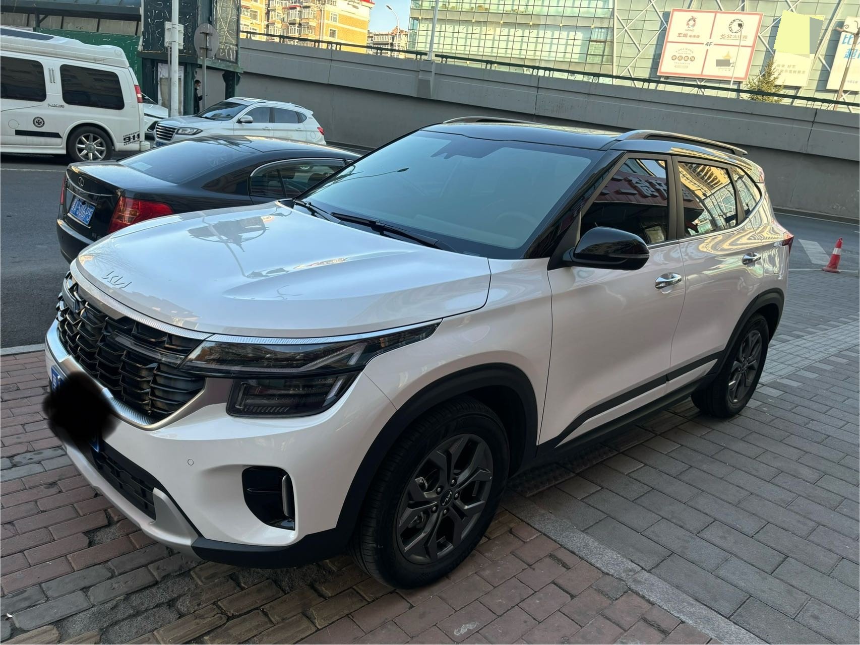 Kia Seltos 2024 car image 