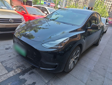 Tesla Model Y 2021 car image 