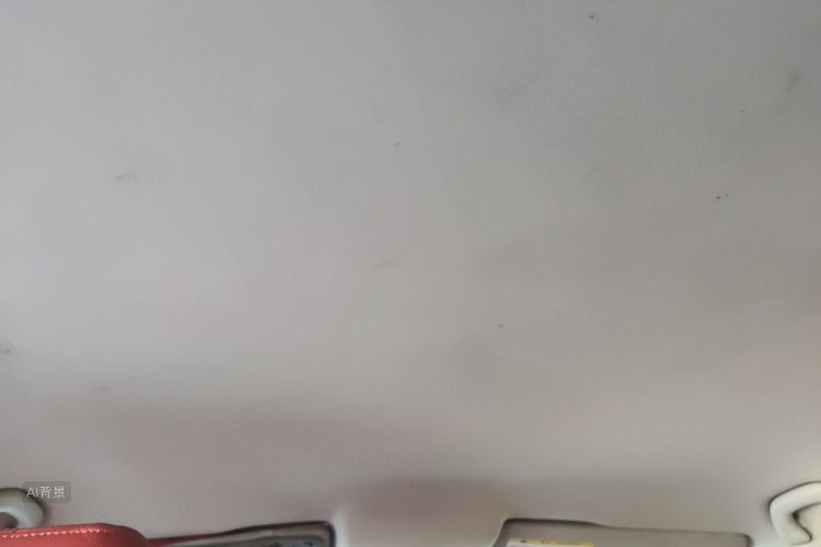Volkswagen Polo 2015 car image #20