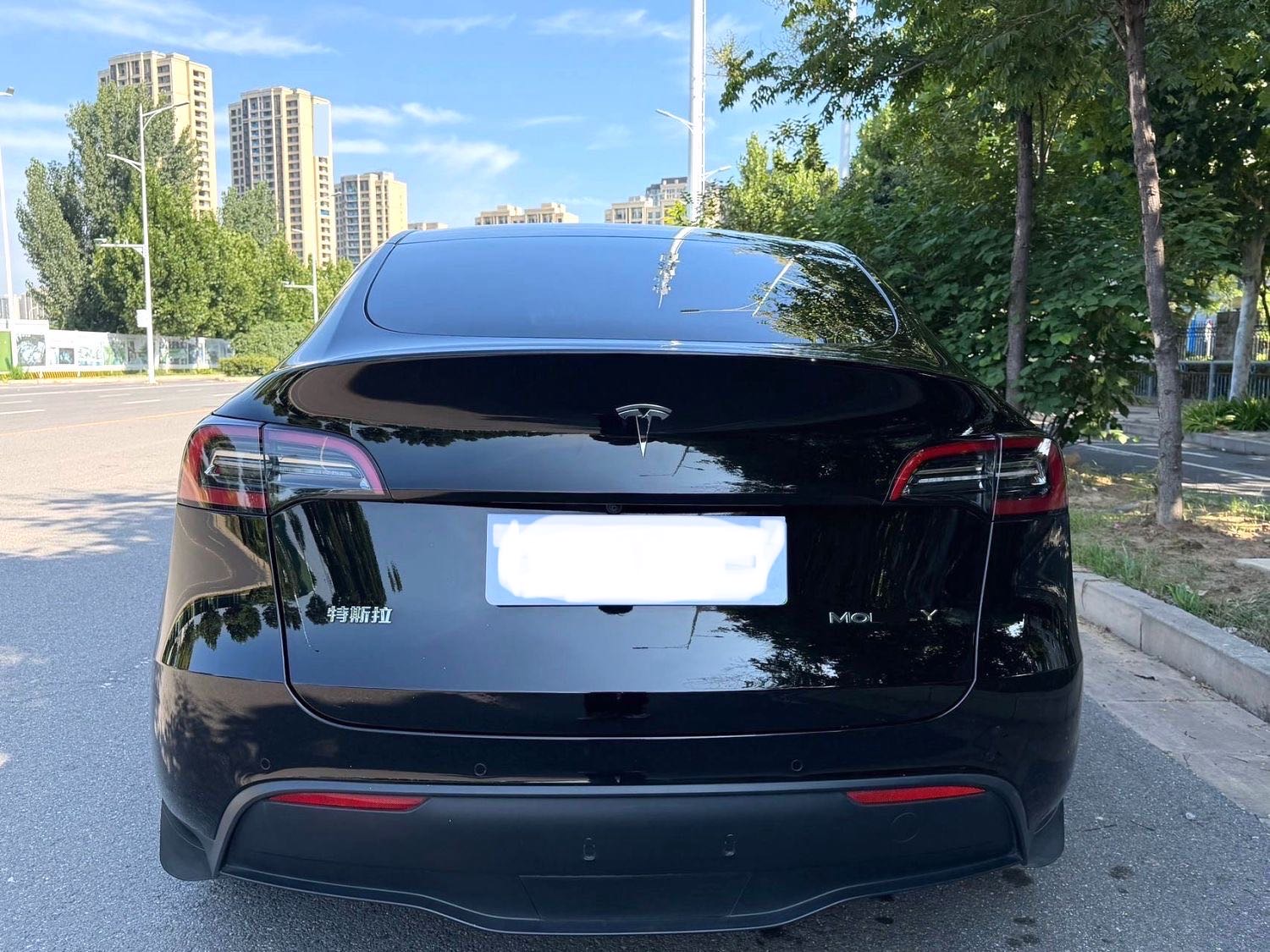 Tesla Model Y 2023 #7 Tesla Model Y 2023 car image #7