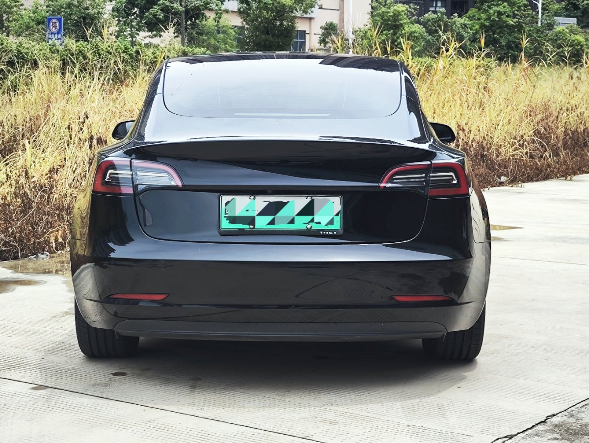 Tesla Model 3 2021 car image #4