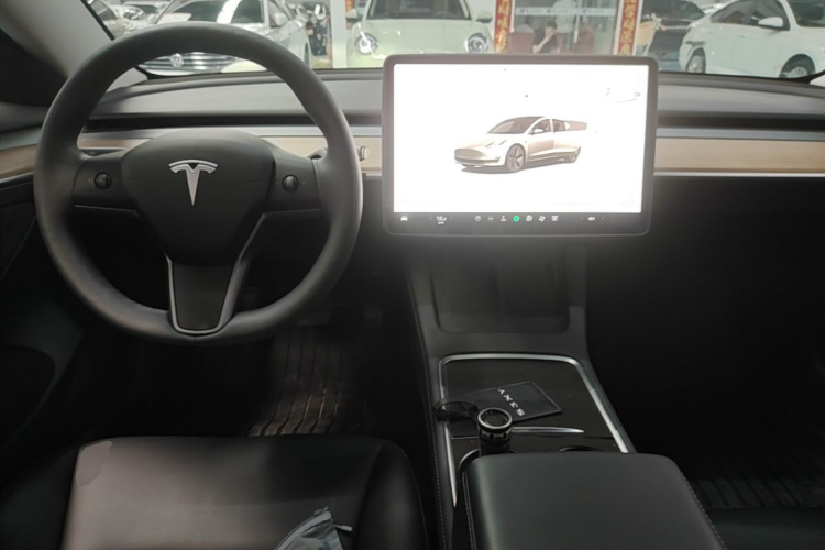 Tesla Model 3 2023 #11 Tesla Model 3 2023 car image #11