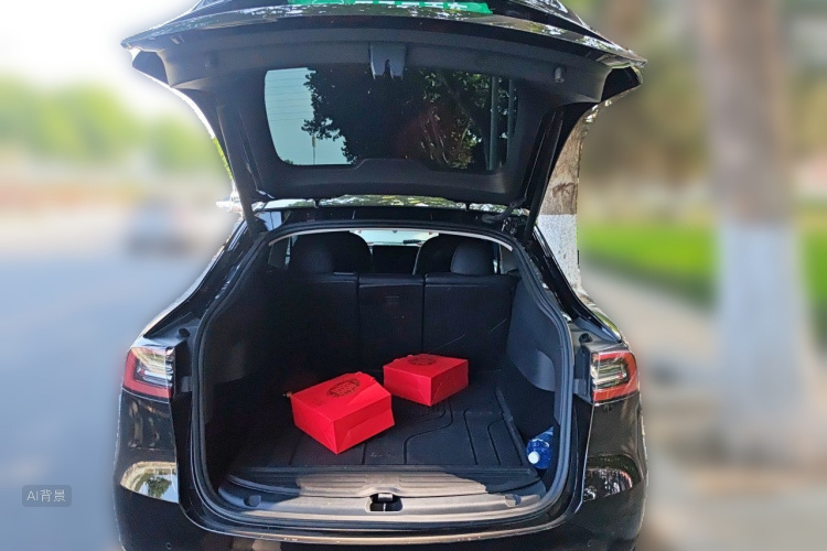 Tesla Model Y 2023 #21 Tesla Model Y 2023 car image #21