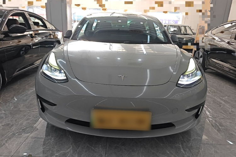 Tesla Model 3 2021 #3 Tesla Model 3 2021 car image #3