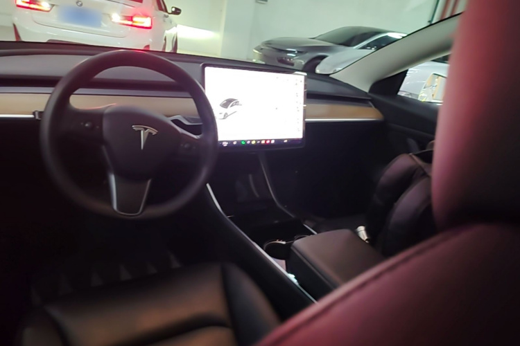 Tesla Model 3 2020 immagine di auto #10
