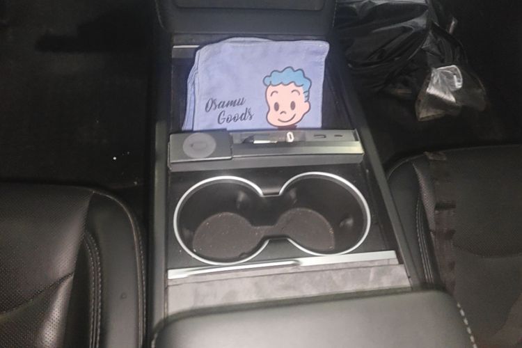 Tesla Model 3 2024 immagine di auto #14