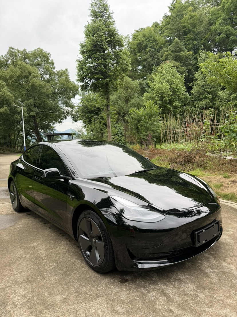 Tesla Model 3 2021 car image #3