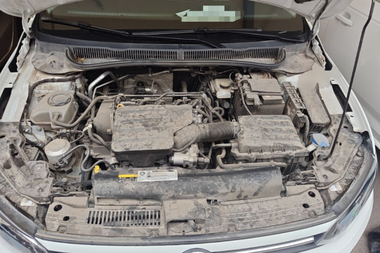 Volkswagen Polo 2024 immagine di auto #20