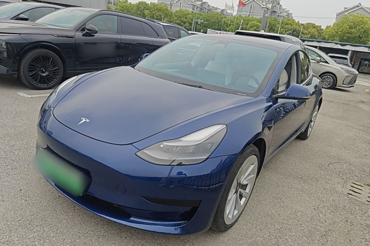Tesla Model 3 2021 car image #2