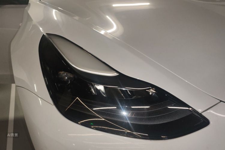 Tesla Model 3 2021 immagine di auto #8
