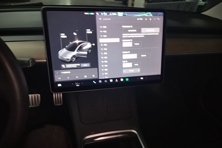 Tesla Model 3 2021 #13 Tesla Model 3 2021 car image #13