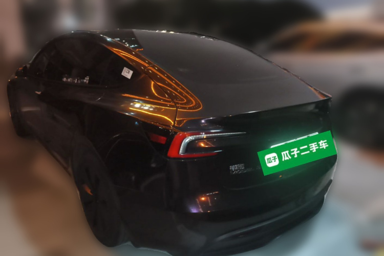 Tesla Model 3 2023 car image #5