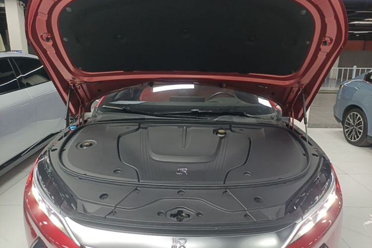 BYD Han 2021 car image #20