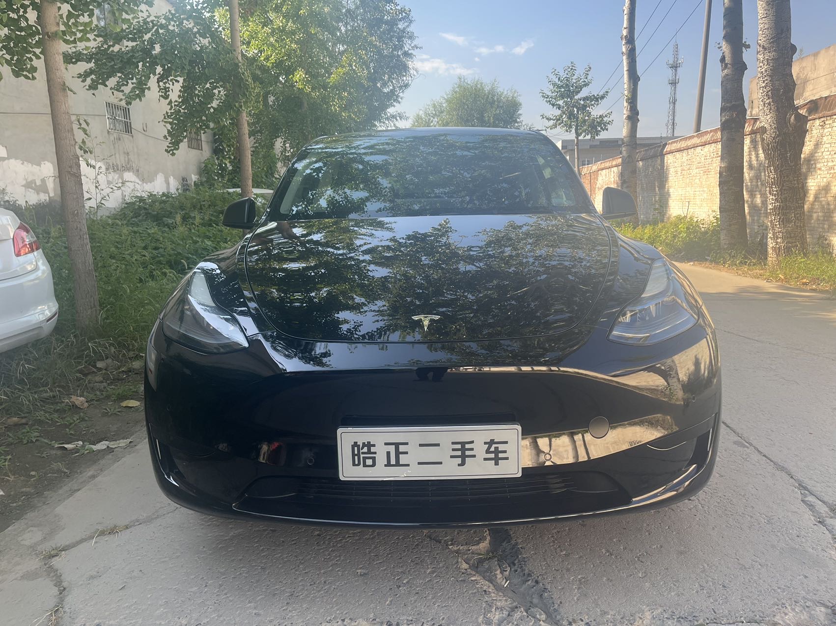 Tesla Model Y 2023 car image #3