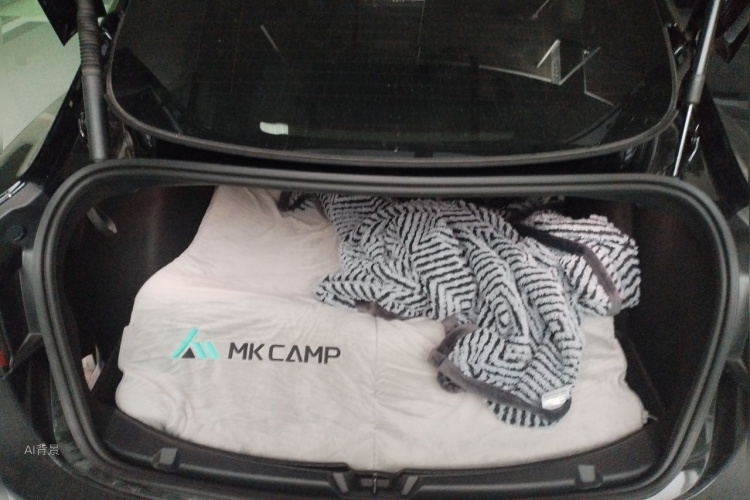 Tesla Model 3 2022 imagem de carro #21