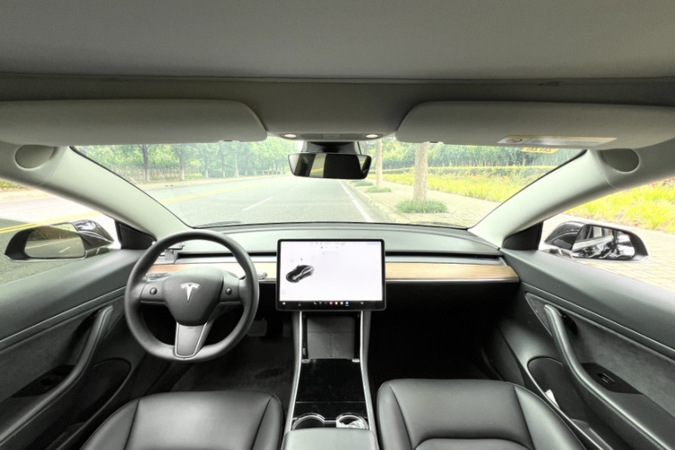 Tesla Model 3 2020 immagine di auto #13