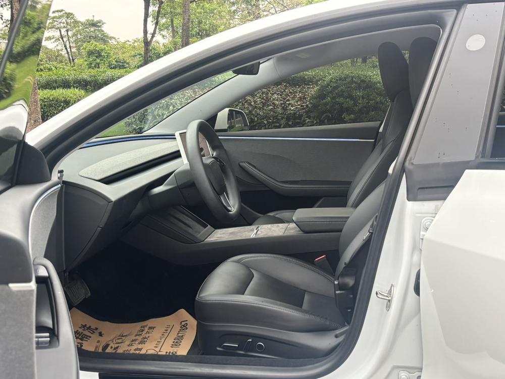 Tesla Model 3 2024 immagine di auto #10
