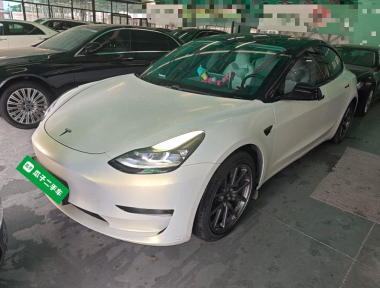 Tesla Model 3 2020 Tesla Model 3 2020 car image