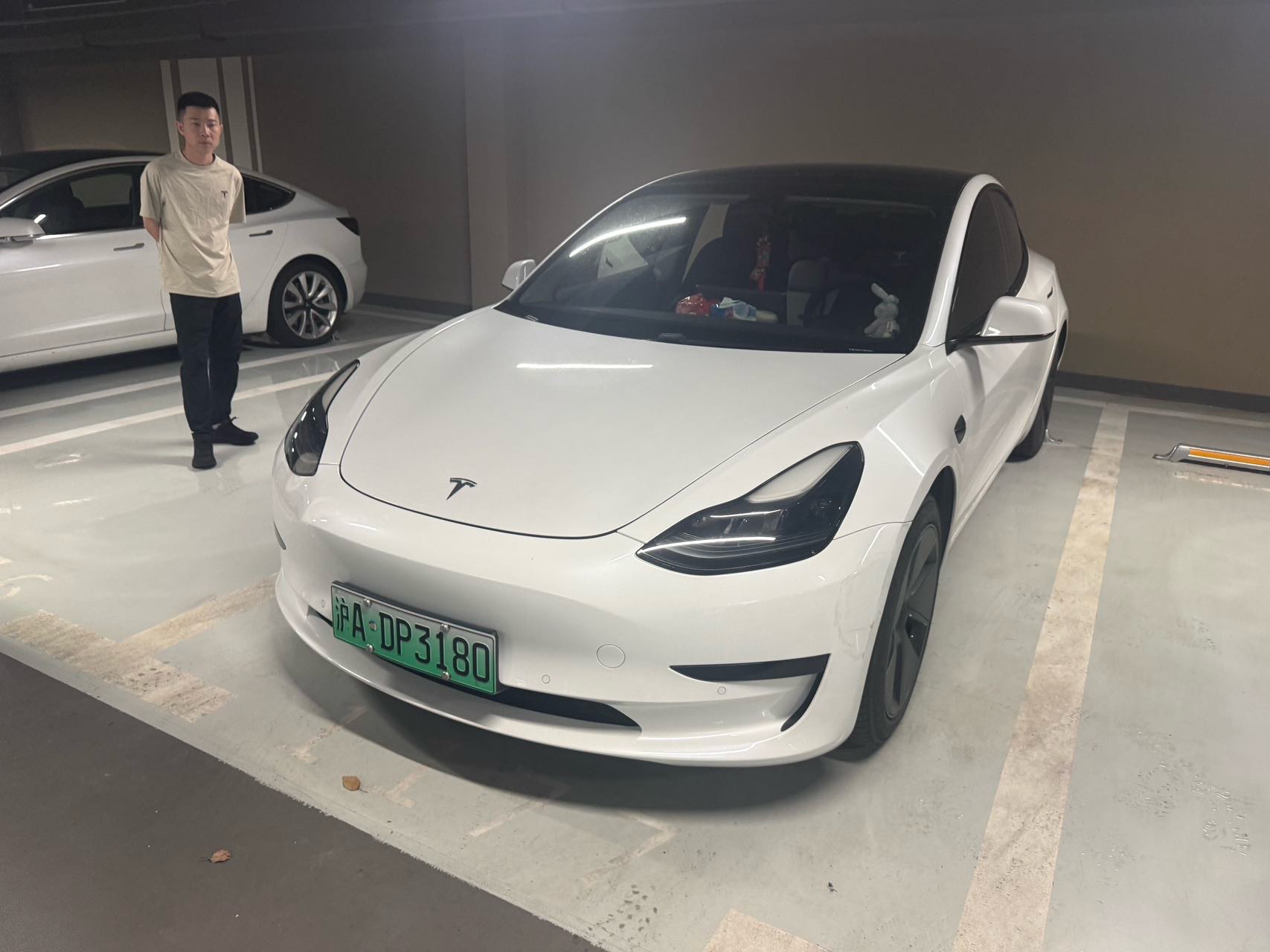 Tesla Model 3 2021 car image 