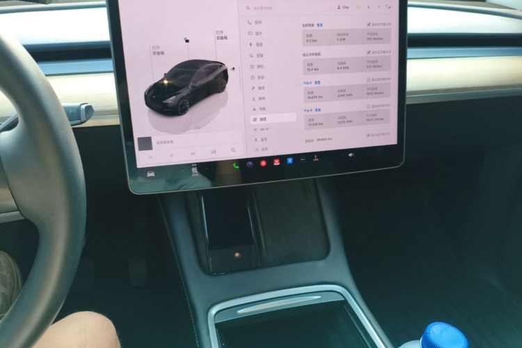 Tesla Model Y 2022 #15 Tesla Model Y 2022 car image #15