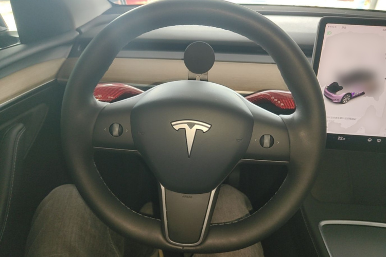 Tesla Model Y 2021 car image #11
