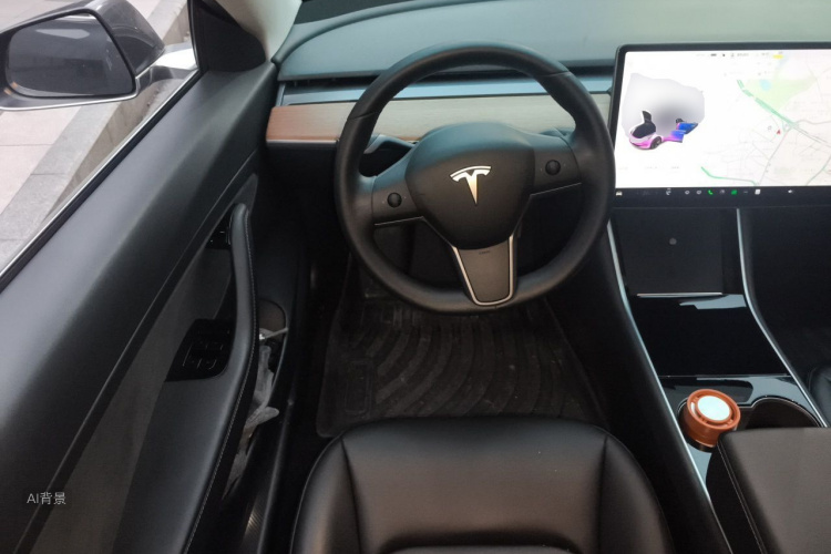 Tesla Model 3 2020 car image #12