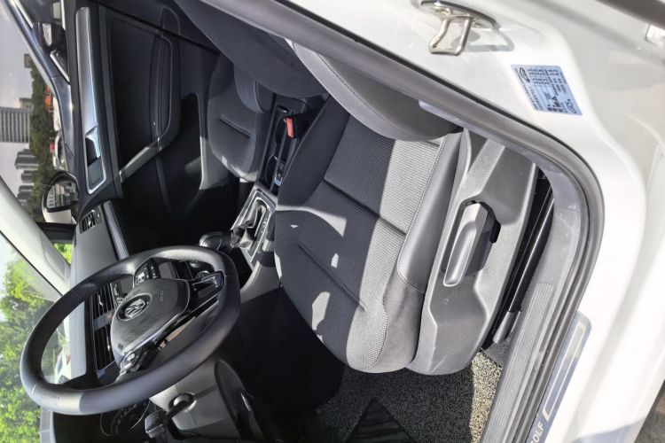 Volkswagen Golf 2019 car image #14