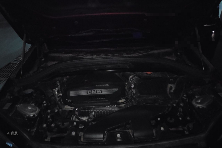 BMW X1 2021 car image #22