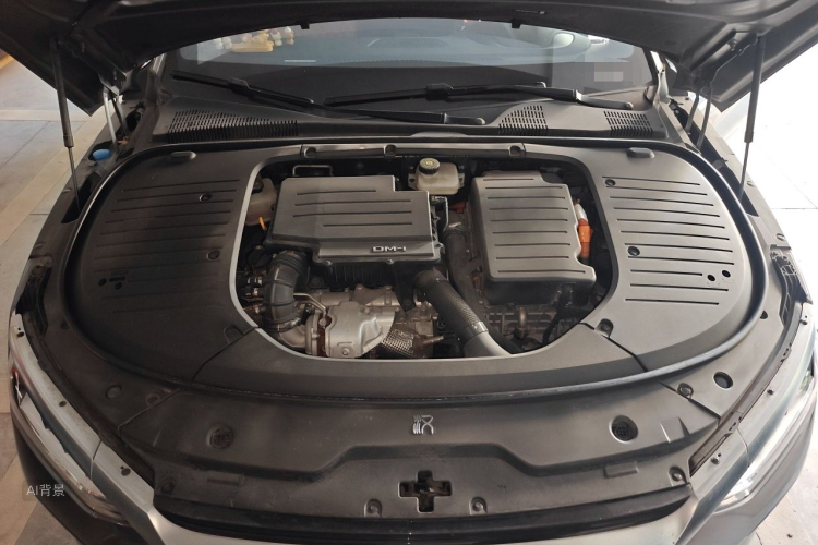 BYD Han 2022 car image #22
