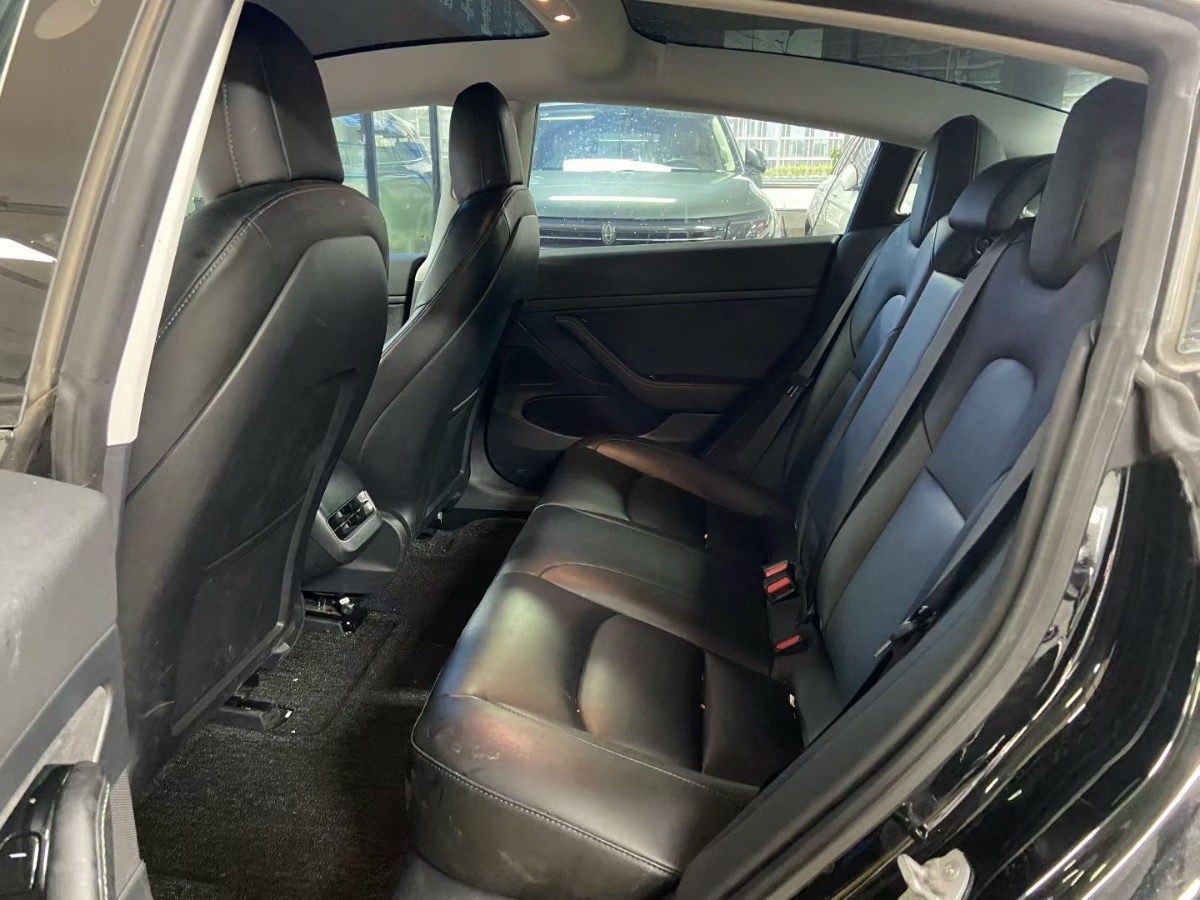 Tesla Model 3 2020 car image #5