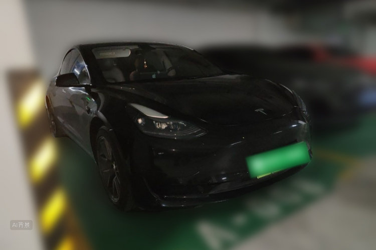 Tesla Model 3 2021 imagem de carro #4