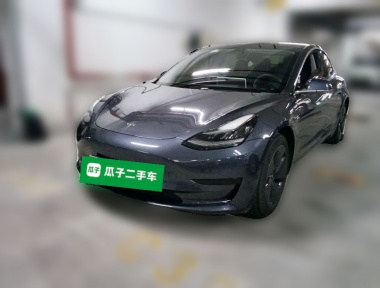 Tesla Model 3 2020 Tesla Model 3 2020 car image