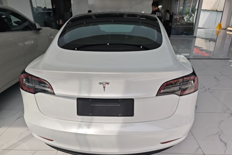 Tesla Model 3 2020 #6 Tesla Model 3 2020 car image #6