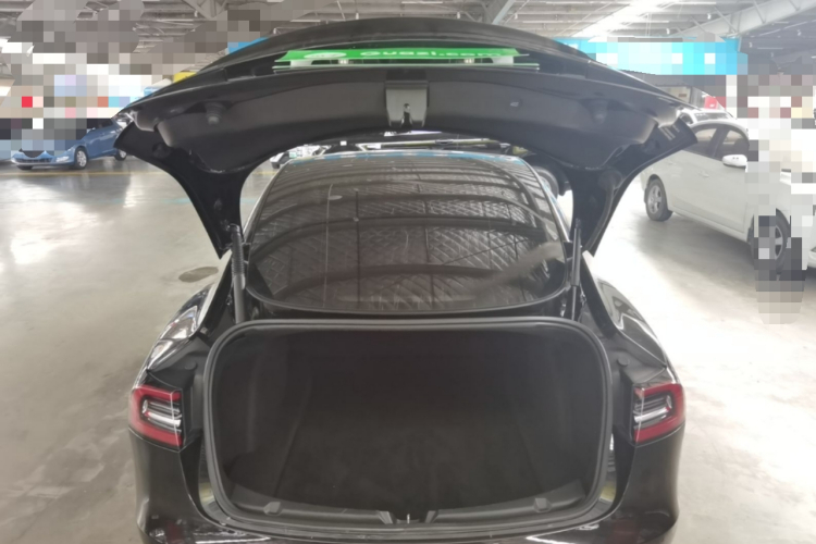 Tesla Model 3 2021 #19 Tesla Model 3 2021 car image #19