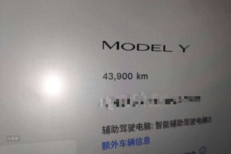 Tesla Model Y 2023 #14 Tesla Model Y 2023 car image #14