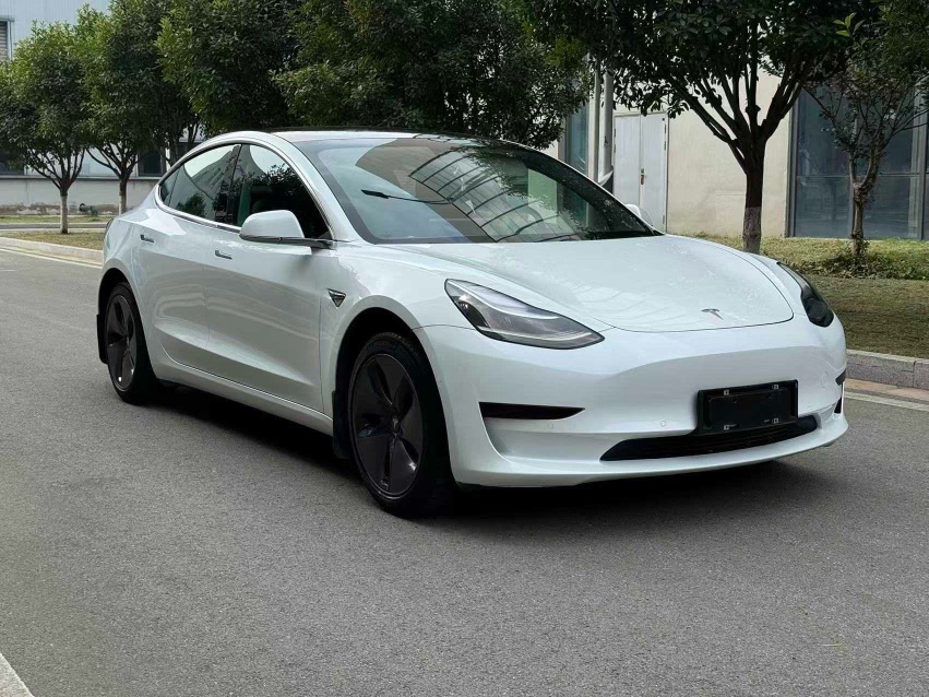 Tesla Model 3 (Imported) 2020 #3 Tesla Model 3 (Imported) 2020 immagine di auto #3