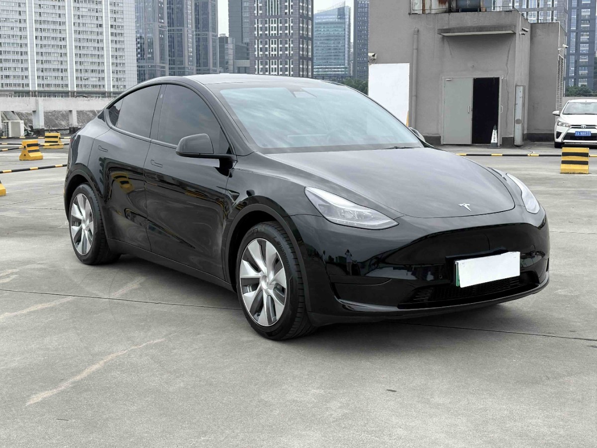 Tesla Model Y 2022 #2 Tesla Model Y 2022 car image #2