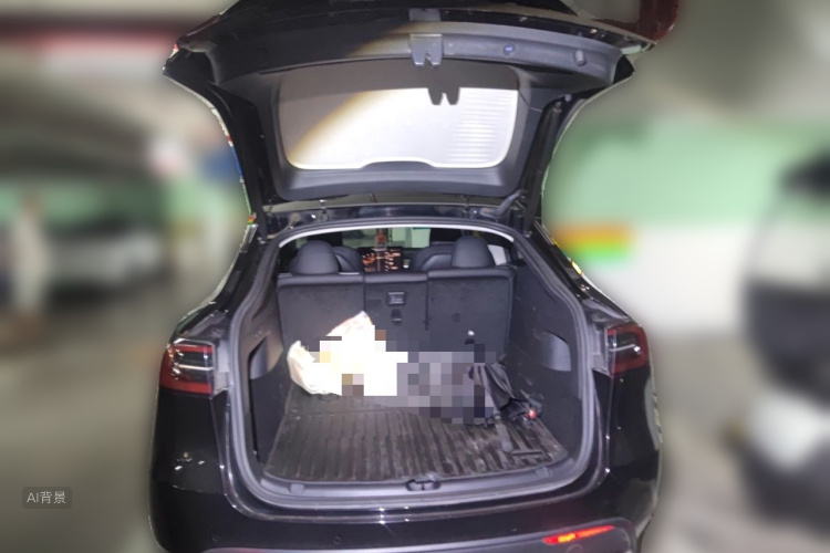 Tesla Model Y 2023 #21 Tesla Model Y 2023 immagine di auto #21